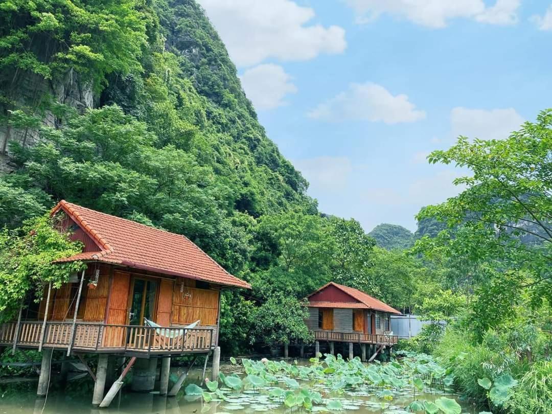 Lotus Field Homestay Ninh Bình Exteriör bild