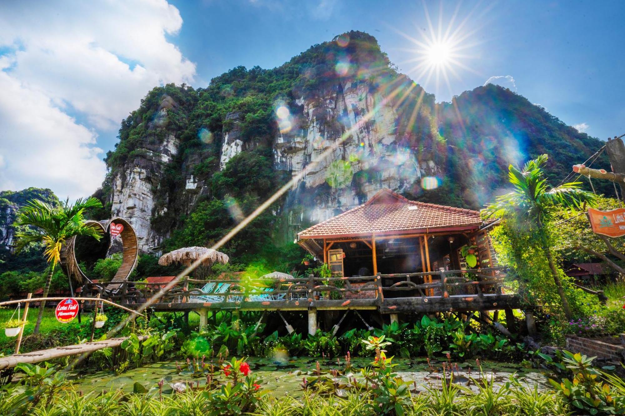 Lotus Field Homestay Ninh Bình Exteriör bild