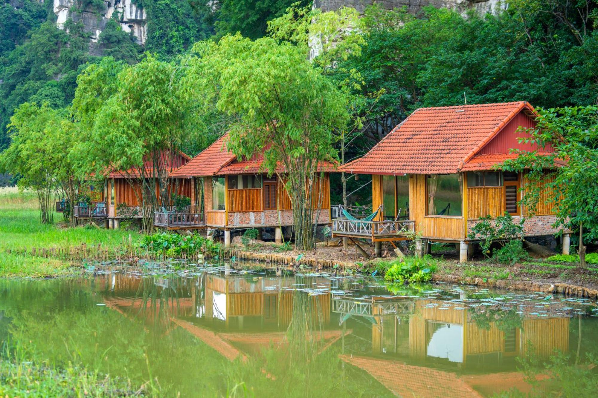 Lotus Field Homestay Ninh Bình Exteriör bild
