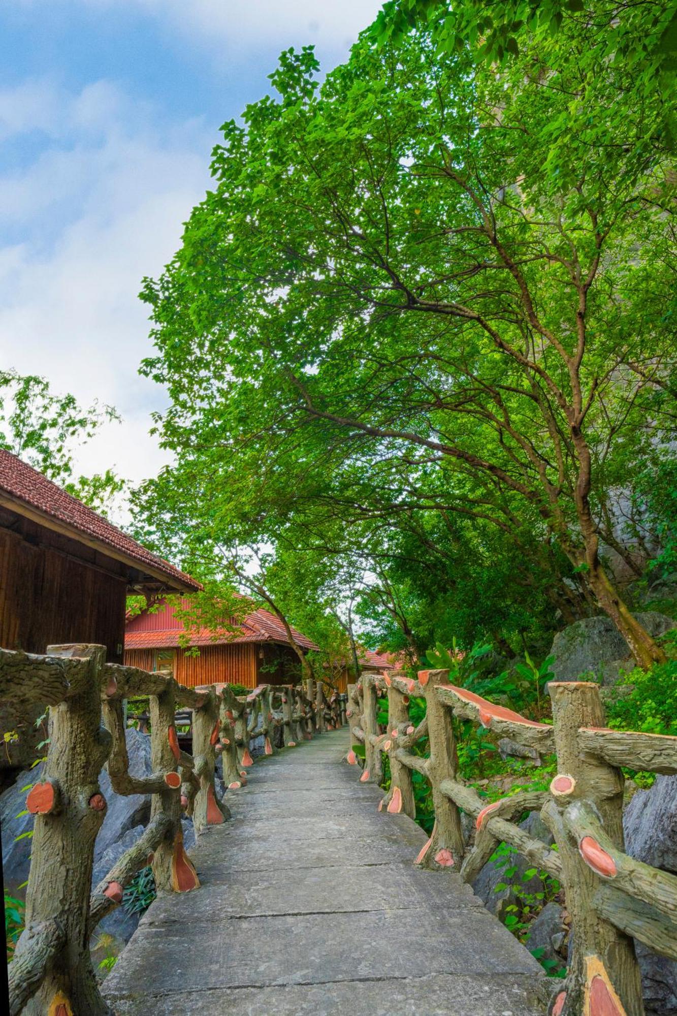 Lotus Field Homestay Ninh Bình Exteriör bild