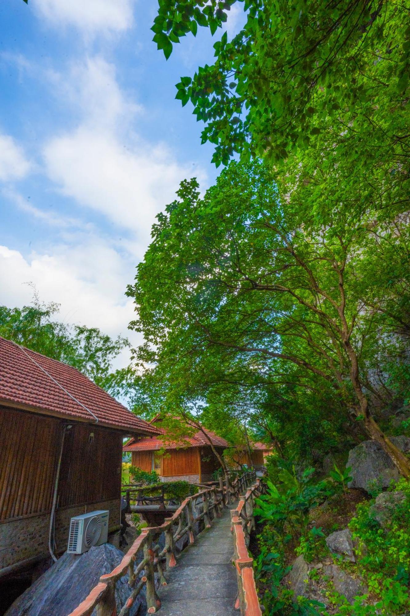 Lotus Field Homestay Ninh Bình Exteriör bild